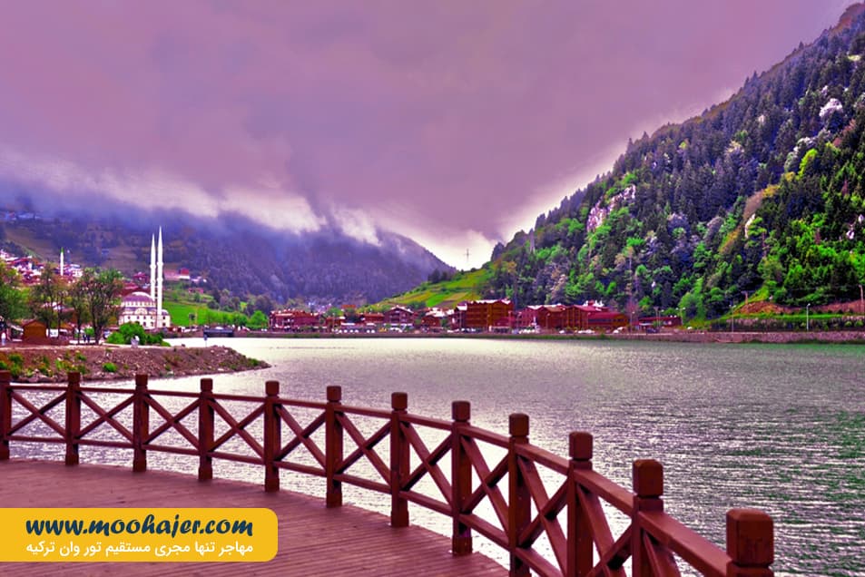 گول 5 مهاجر سیر ایرانیان