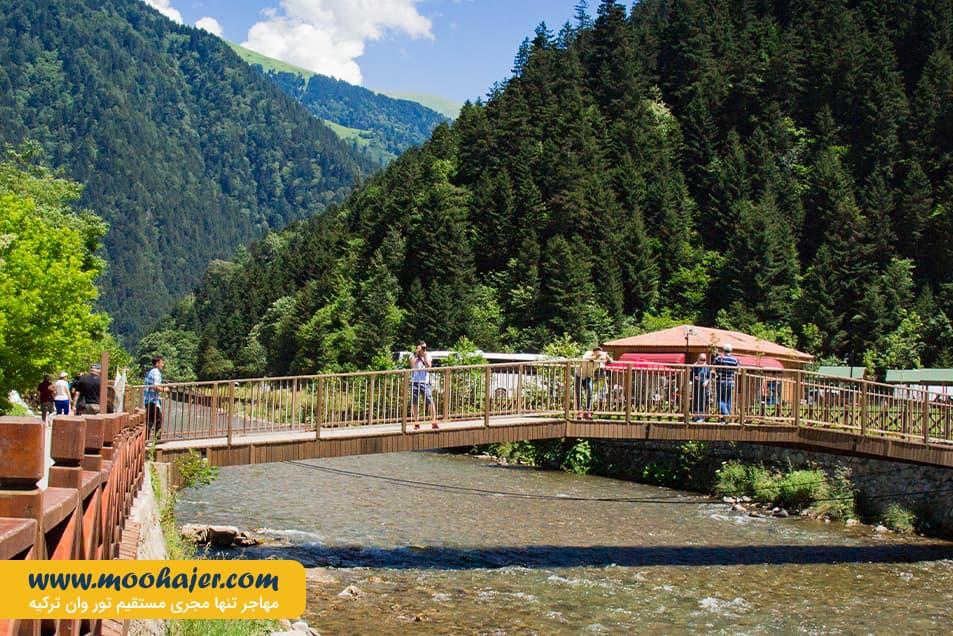 گول 7 مهاجر سیر ایرانیان