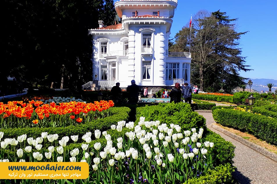 آتاتورک 12 مهاجر سیر ایرانیان