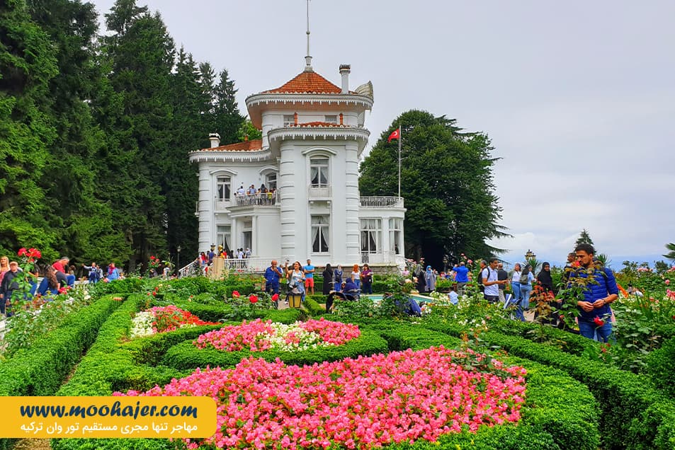 آتاتورک 4 مهاجر سیر ایرانیان