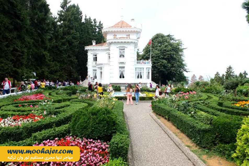 آتاتورک 6 مهاجر سیر ایرانیان