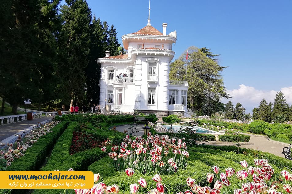 آتاتورک 7 مهاجر سیر ایرانیان