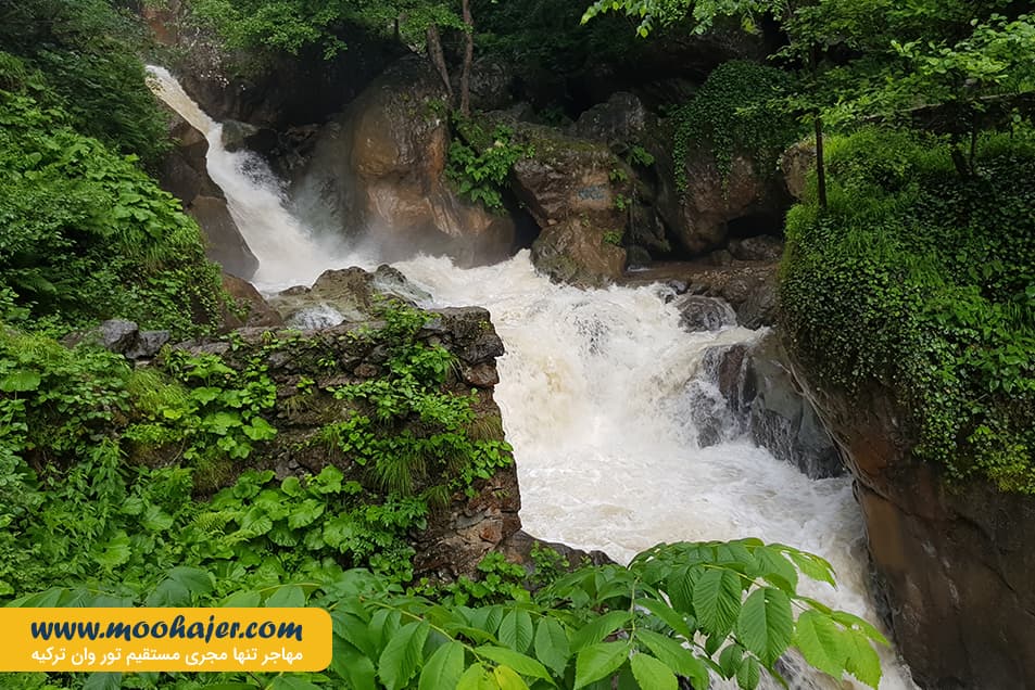 صوملا 14 مهاجر سیر ایرانیان