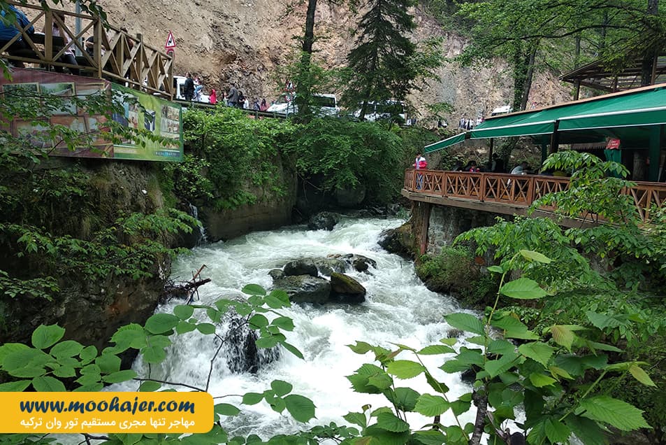 صوملا 8 مهاجر سیر ایرانیان