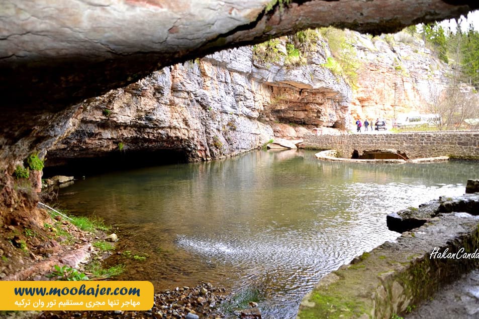 چال ترابزون 1 مهاجر سیر ایرانیان