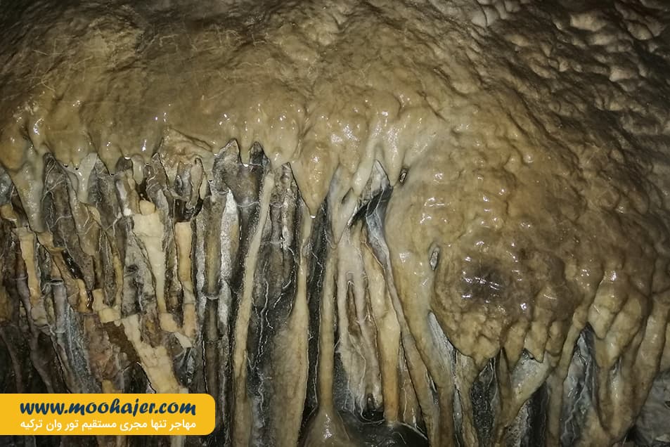 چال ترابزون 50 مهاجر سیر ایرانیان