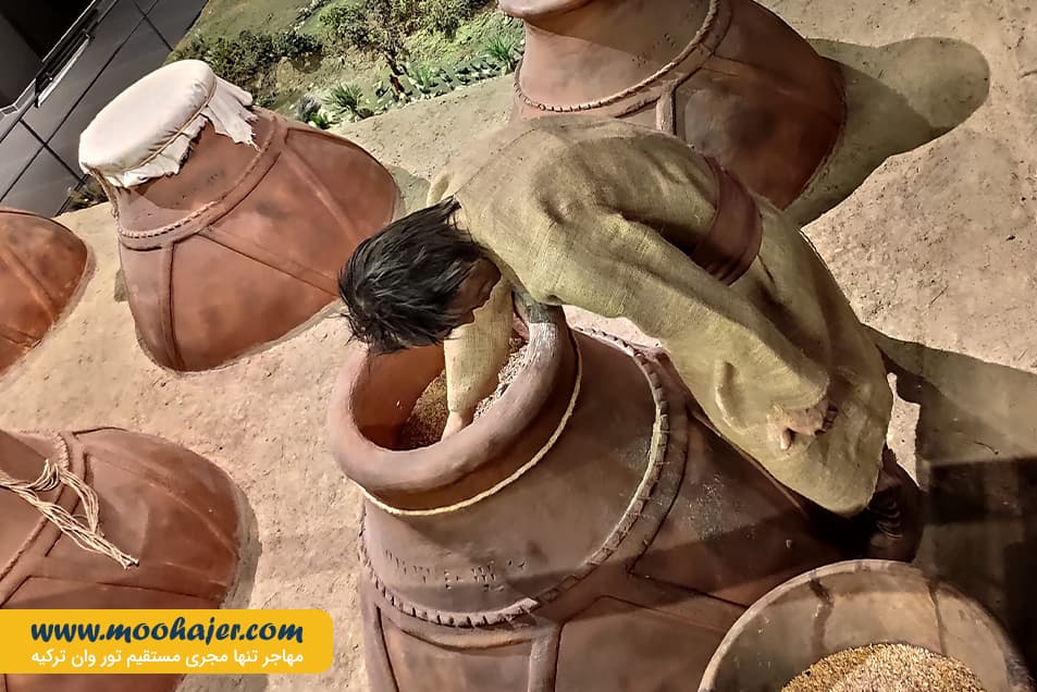 وان 44 مهاجر سیر ایرانیان