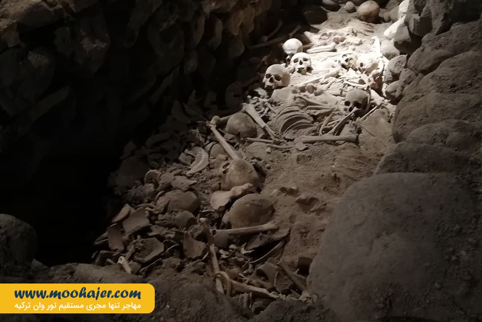 وان 50 مهاجر سیر ایرانیان