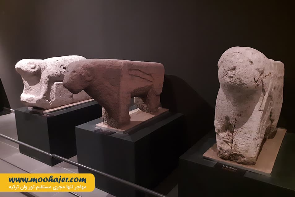 وان 51 مهاجر سیر ایرانیان