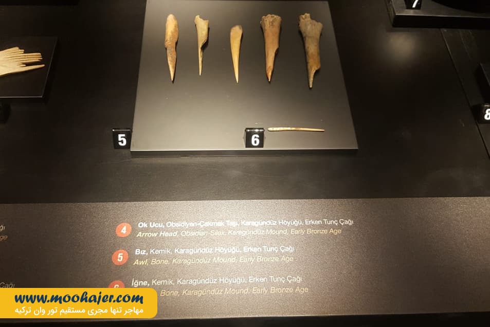 وان 6 مهاجر سیر ایرانیان