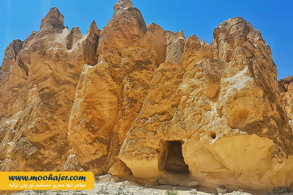 3 مهاجر سیر ایرانیان