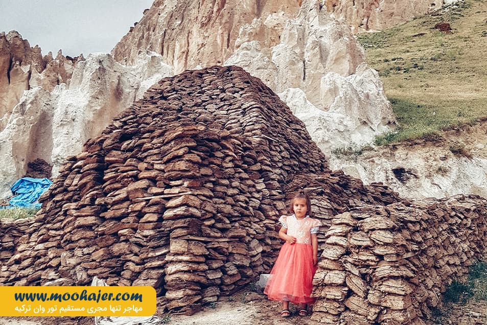 35 مهاجر سیر ایرانیان