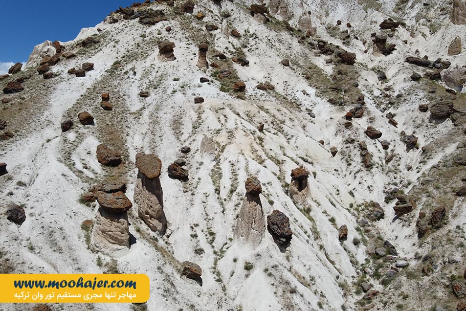 37 مهاجر سیر ایرانیان