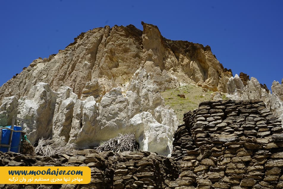 41 مهاجر سیر ایرانیان