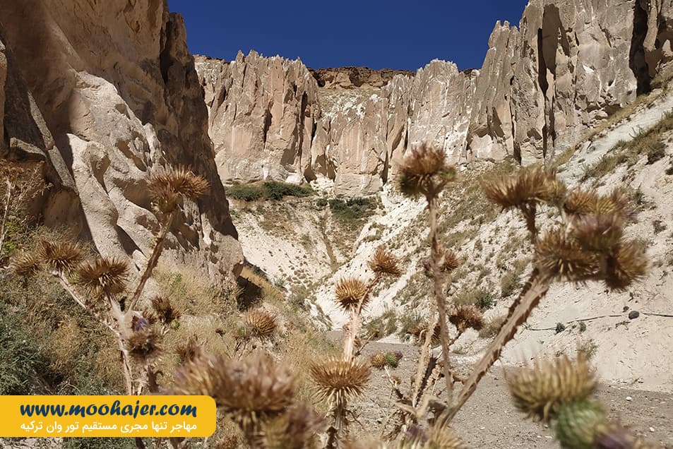 43 مهاجر سیر ایرانیان