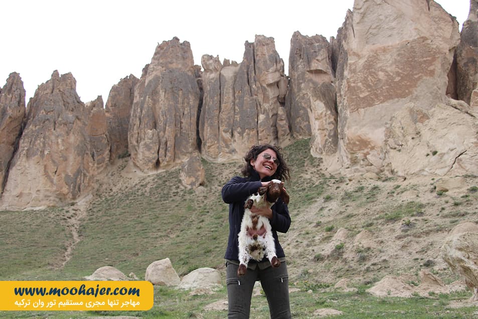 5 مهاجر سیر ایرانیان