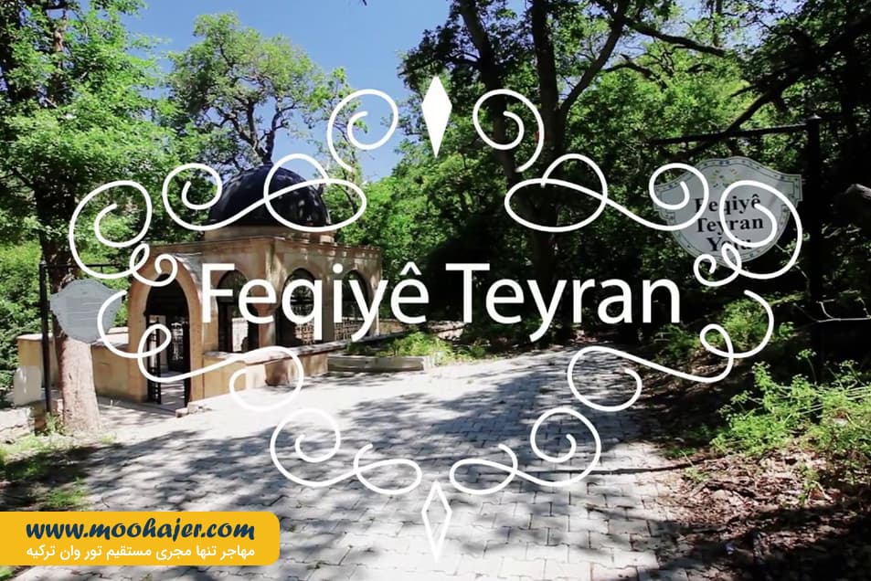 فقی طیران 2 مهاجر سیر ایرانیان