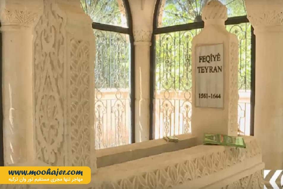 فقی طیران 3 مهاجر سیر ایرانیان