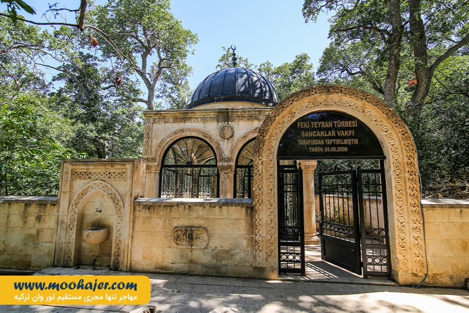 فقی طیران 5 مهاجر سیر ایرانیان