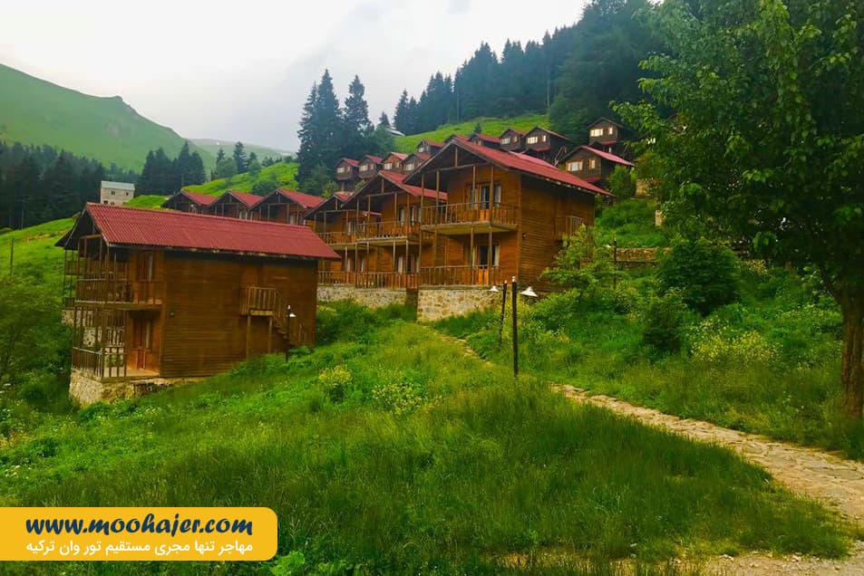 زیبای هامسیکوی ترابزون 15 مهاجر سیر ایرانیان