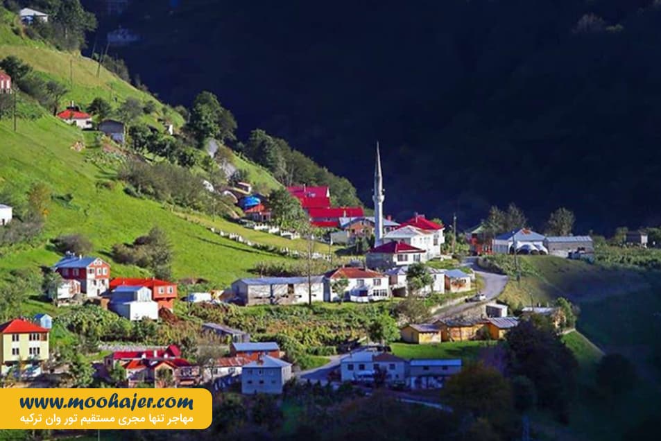 زیبای هامسیکوی ترابزون 5 مهاجر سیر ایرانیان