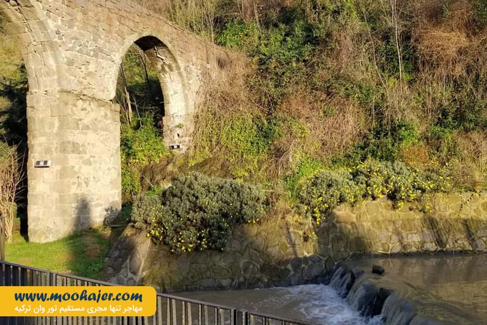 ترابزون 16 مهاجر سیر ایرانیان