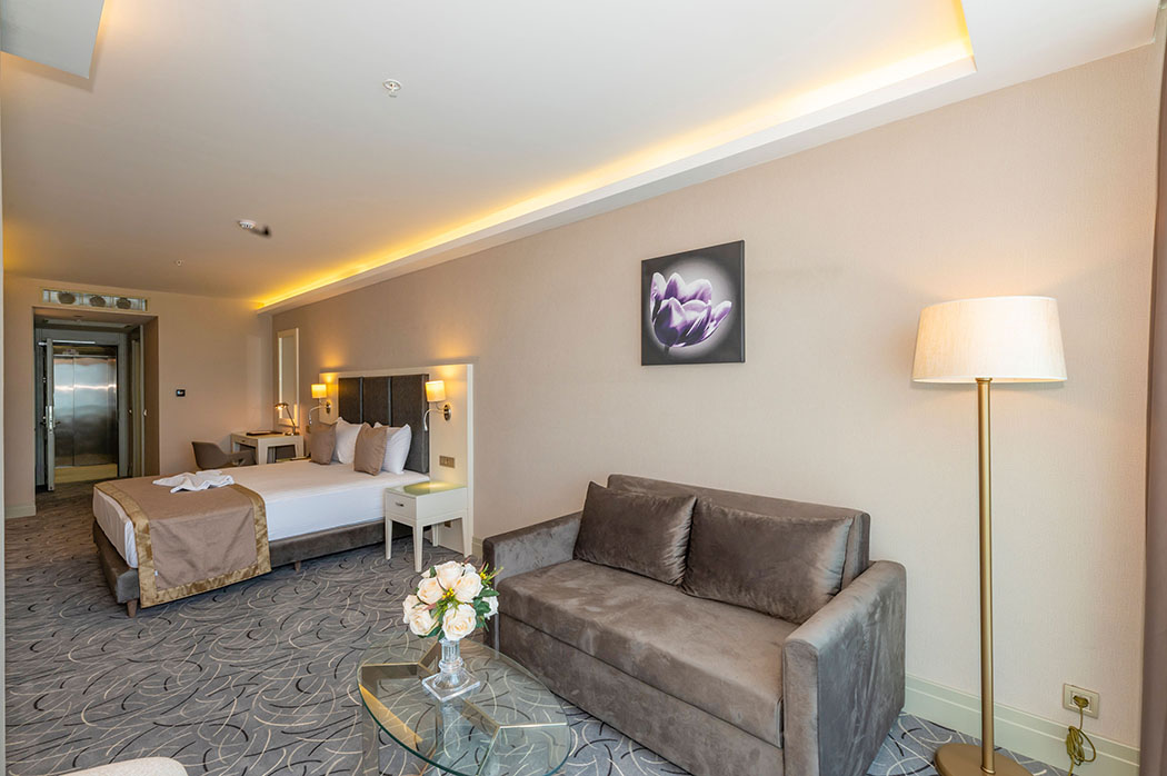 هتل کانفوریوم وان | Conforium Hotel Van | تور وان | مهاجر سیر ایرانیان